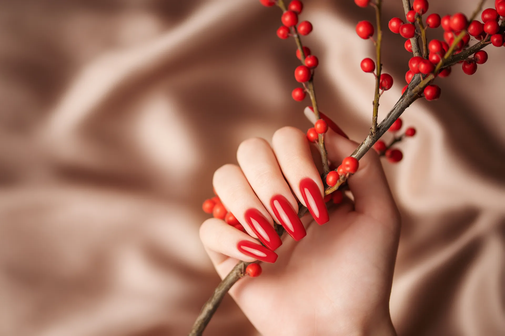 hands-of-a-young-girl-with-red-manicure-on-nails-2024-12-07-19-42-59-utc hands-of-a-young-girl-with-red-manicure-on-nails-2024-12-07-19-42-59-utc